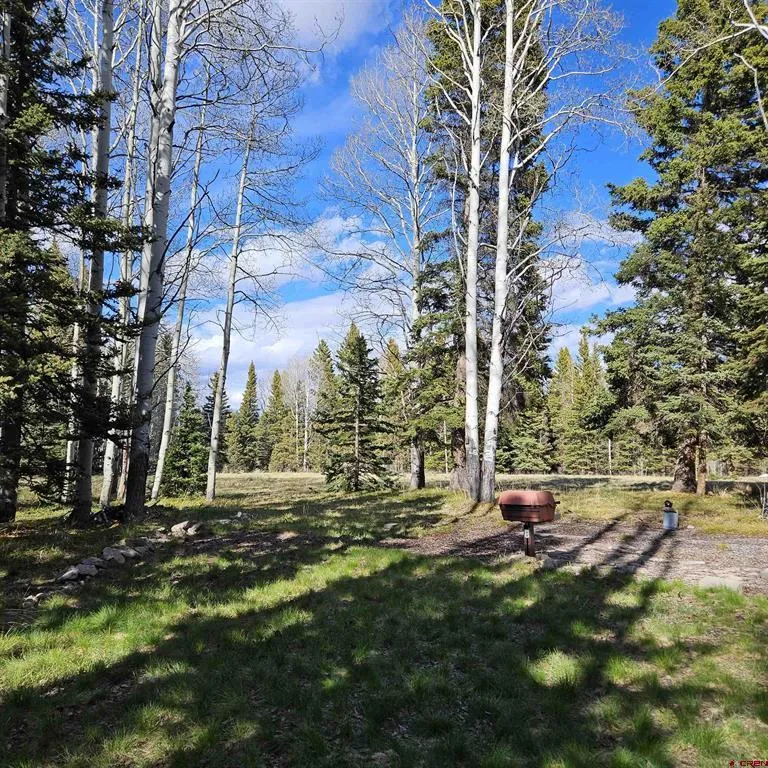 322 Spruce Road Cimarron, CO 81220