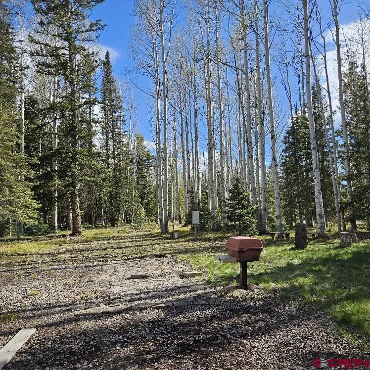 322 Spruce Road Cimarron, CO 81220