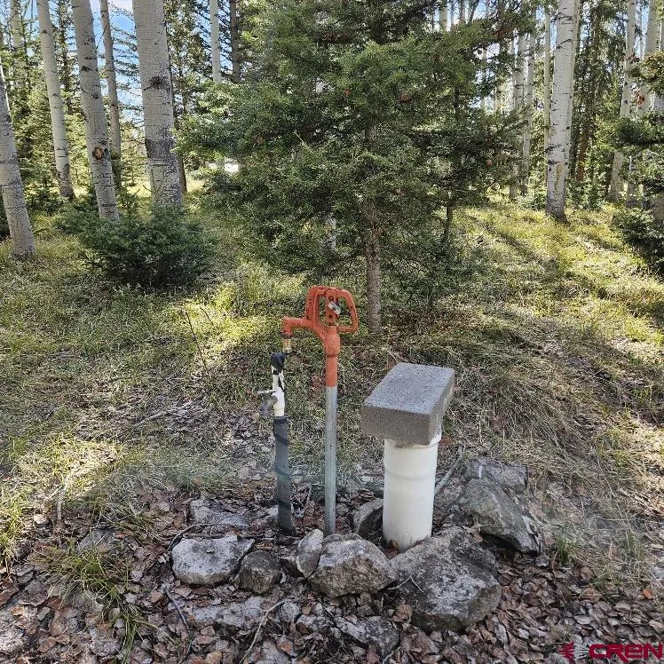 322 Spruce Road Cimarron, CO 81220