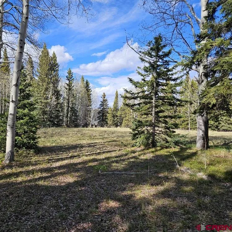 322 Spruce Road Cimarron, CO 81220