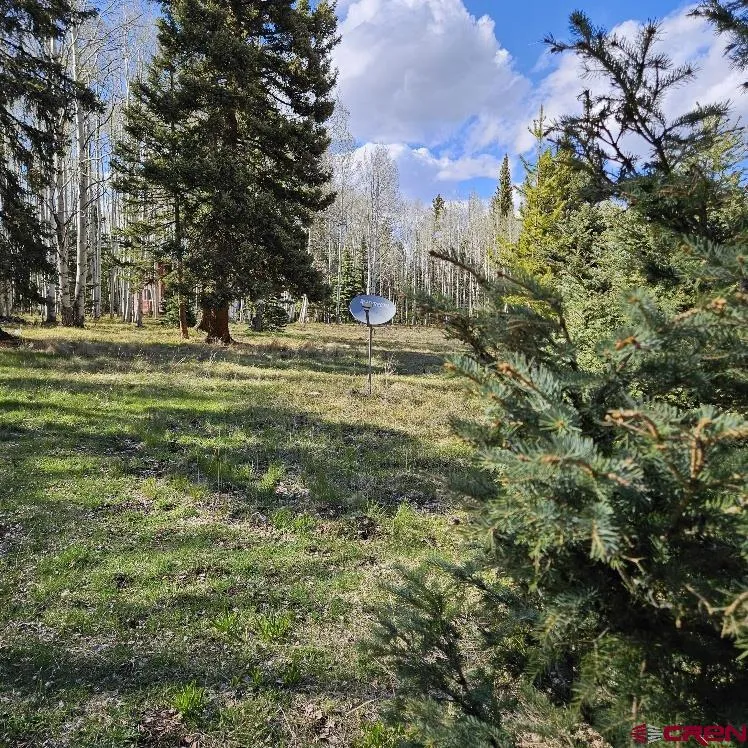 322 Spruce Road Cimarron, CO 81220