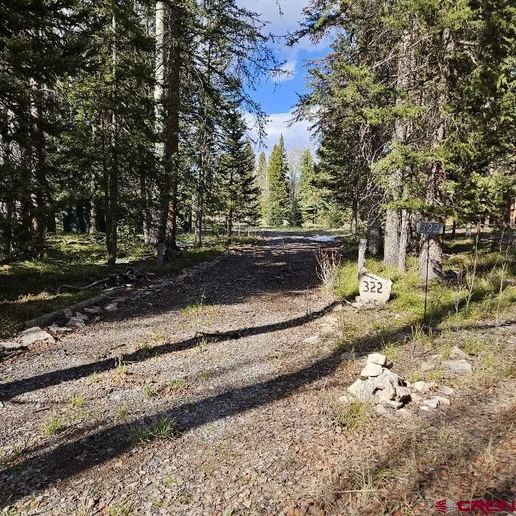322 Spruce Road Cimarron, CO 81220