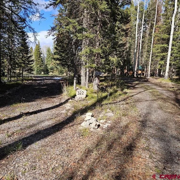 322 Spruce Road Cimarron, CO 81220