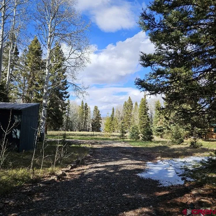 322 Spruce Road Cimarron, CO 81220