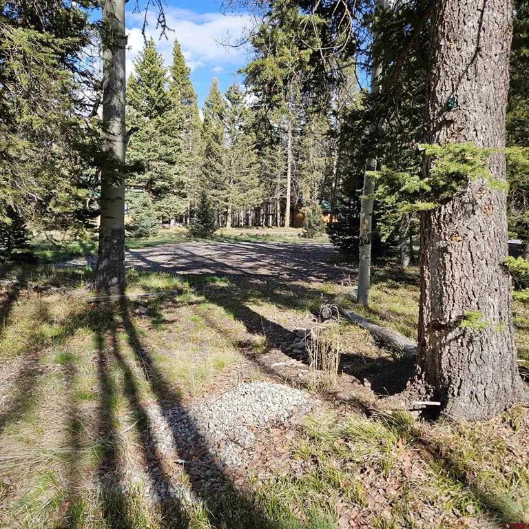 322 Spruce Road Cimarron, CO 81220