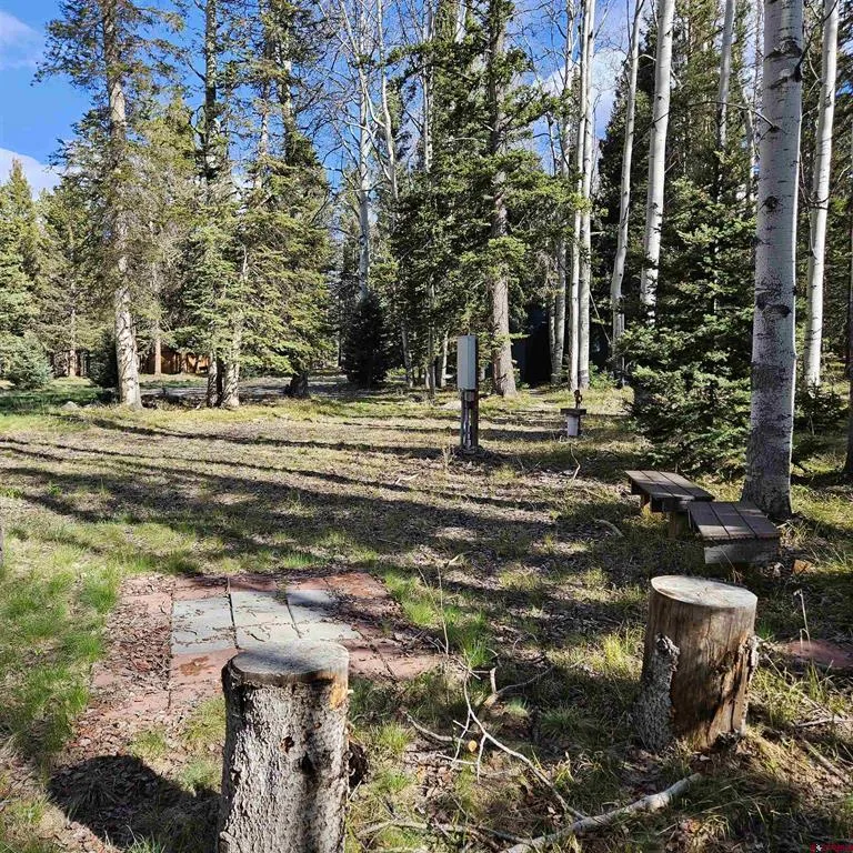 322 Spruce Road Cimarron, CO 81220