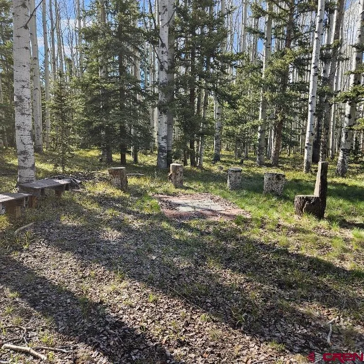 322 Spruce Road Cimarron, CO 81220