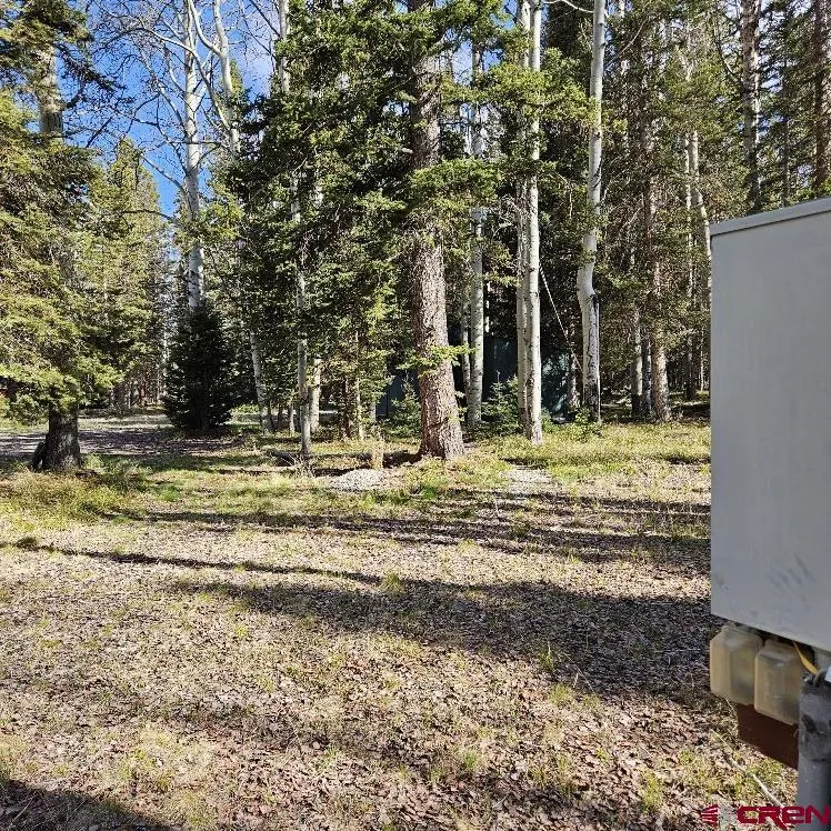 322 Spruce Road Cimarron, CO 81220