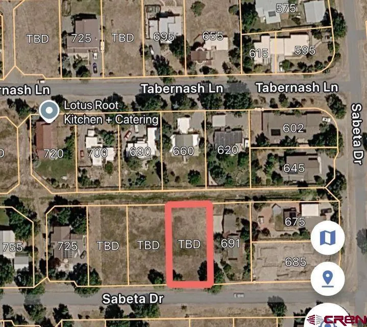 Sabeta Drive Ridgway, CO 81432