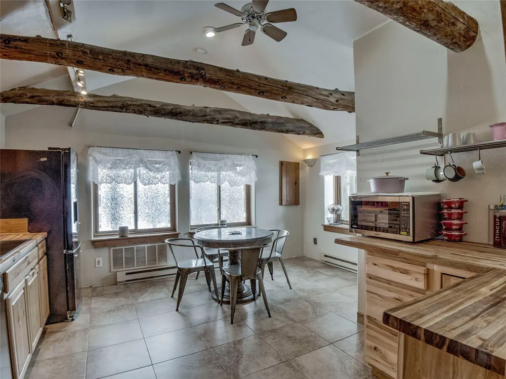 46 Singleton Road Alma, CO 80420