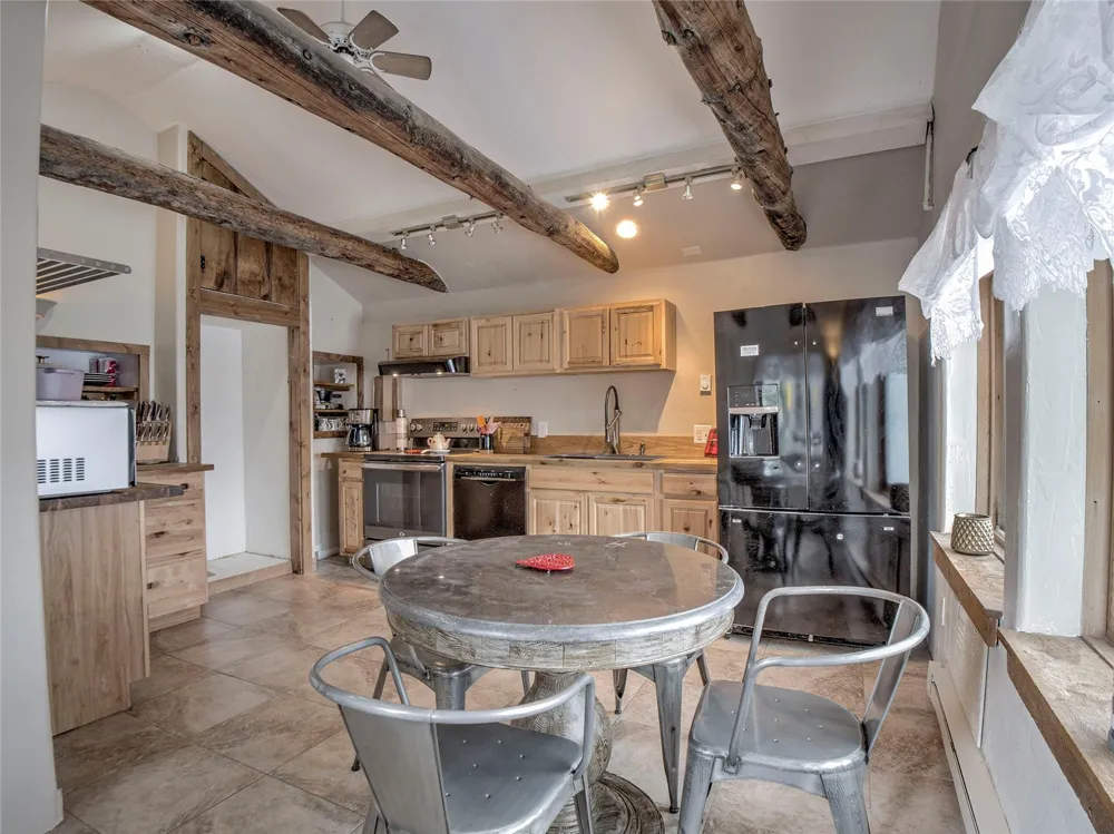 46 Singleton Road Alma, CO 80420