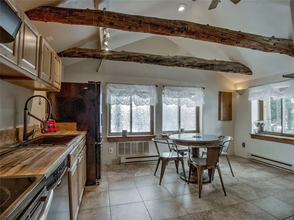 46 Singleton Road Alma, CO 80420