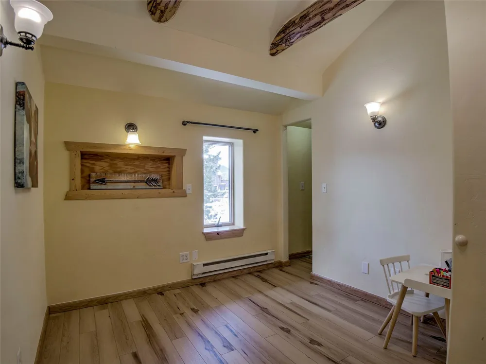 46 Singleton Road Alma, CO 80420