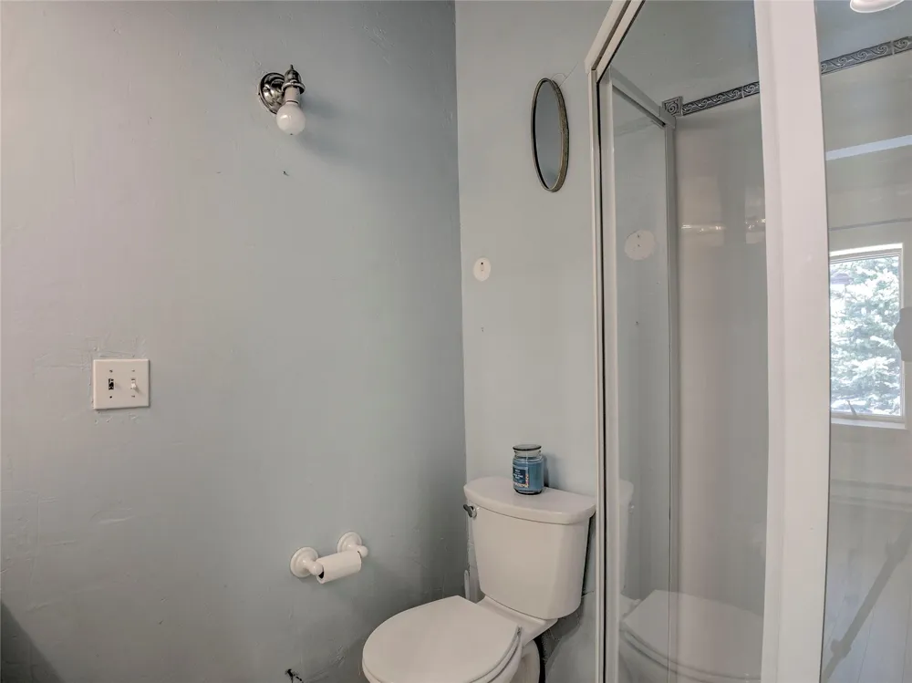 46 Singleton Road Alma, CO 80420