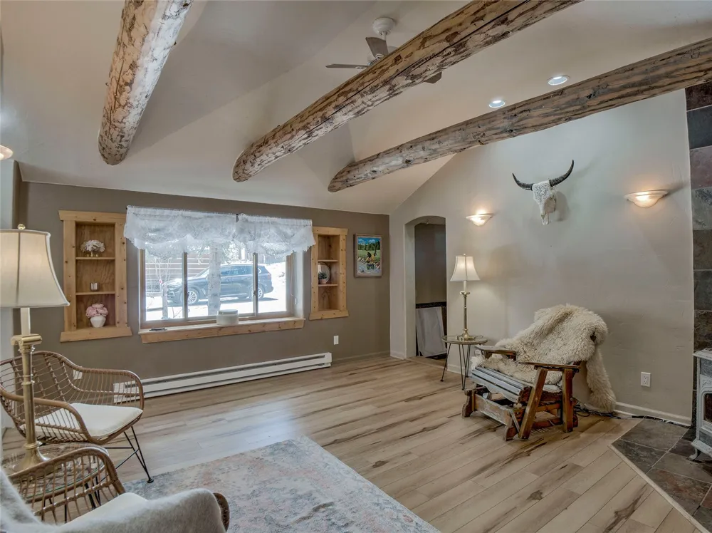 46 Singleton Road Alma, CO 80420