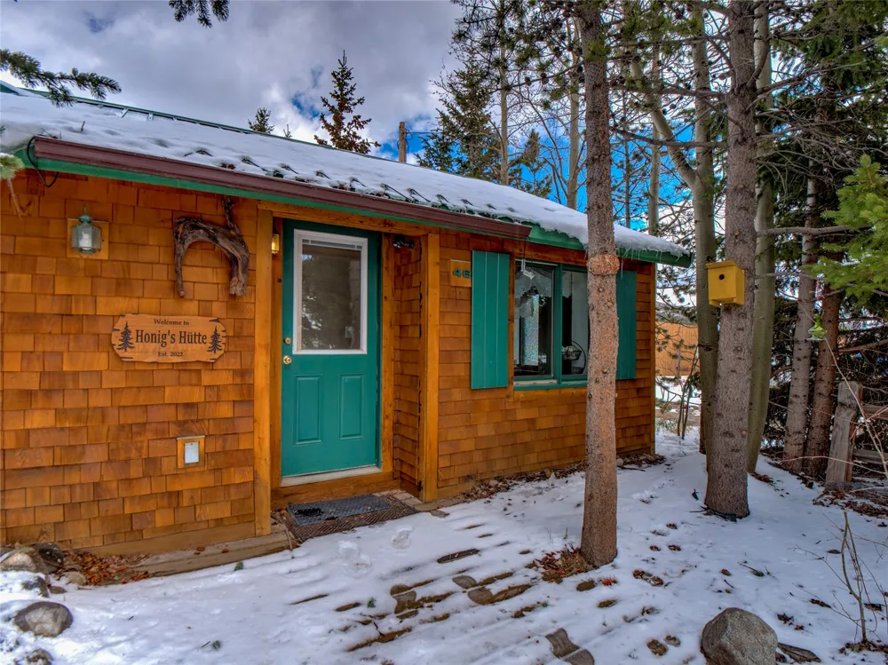 46 Singleton Road Alma, CO 80420