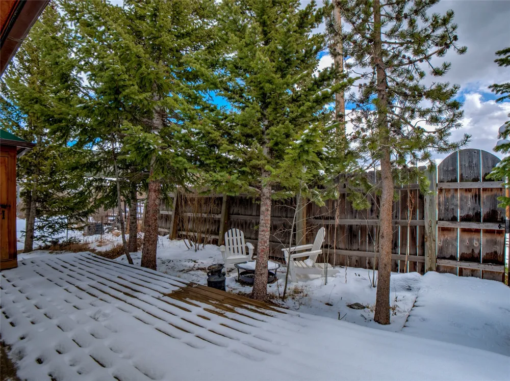 46 Singleton Road Alma, CO 80420