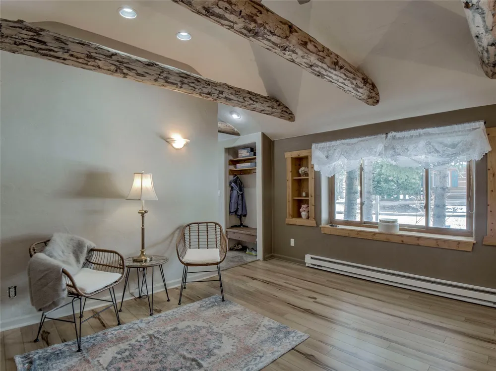 46 Singleton Road Alma, CO 80420