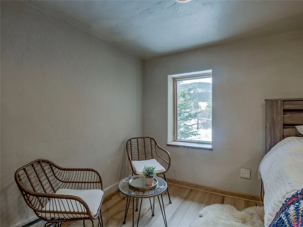 46 Singleton Road Alma, CO 80420