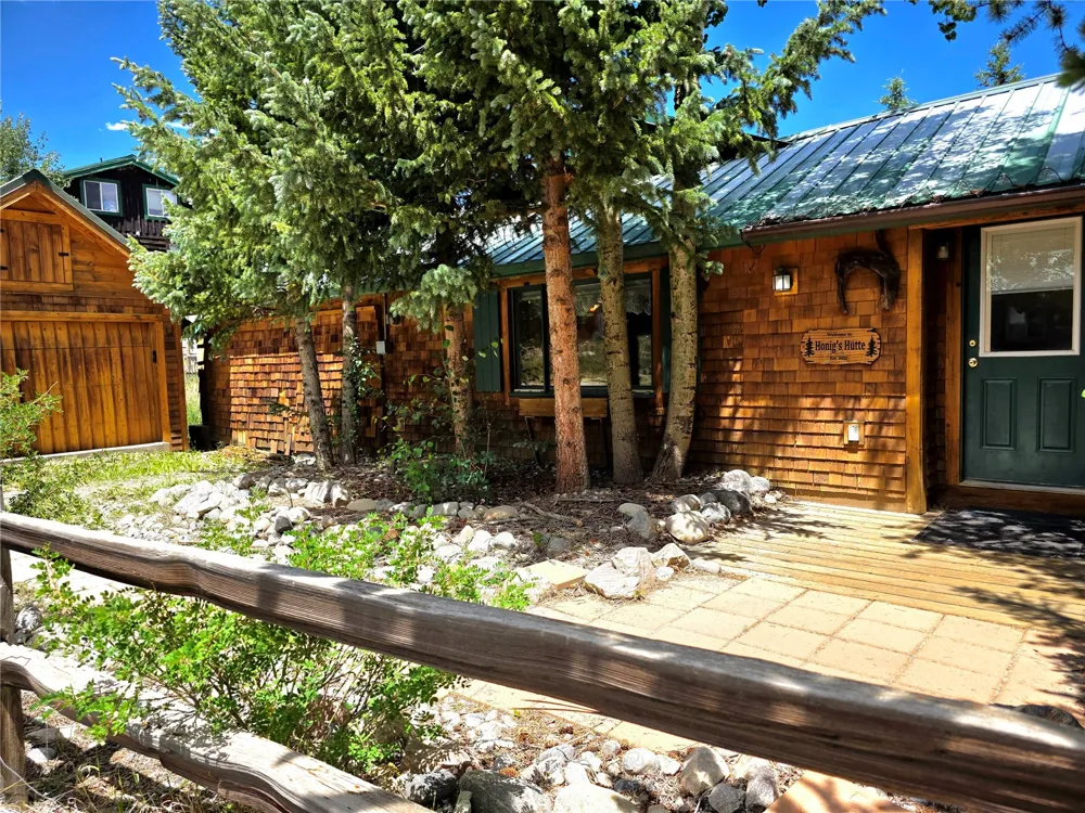 46 Singleton Road Alma, CO 80420