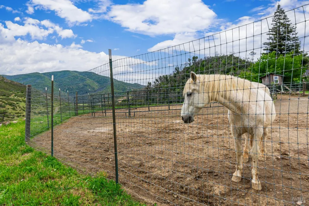 3955 E Highway 128 Highway St. Helena, CA 94574