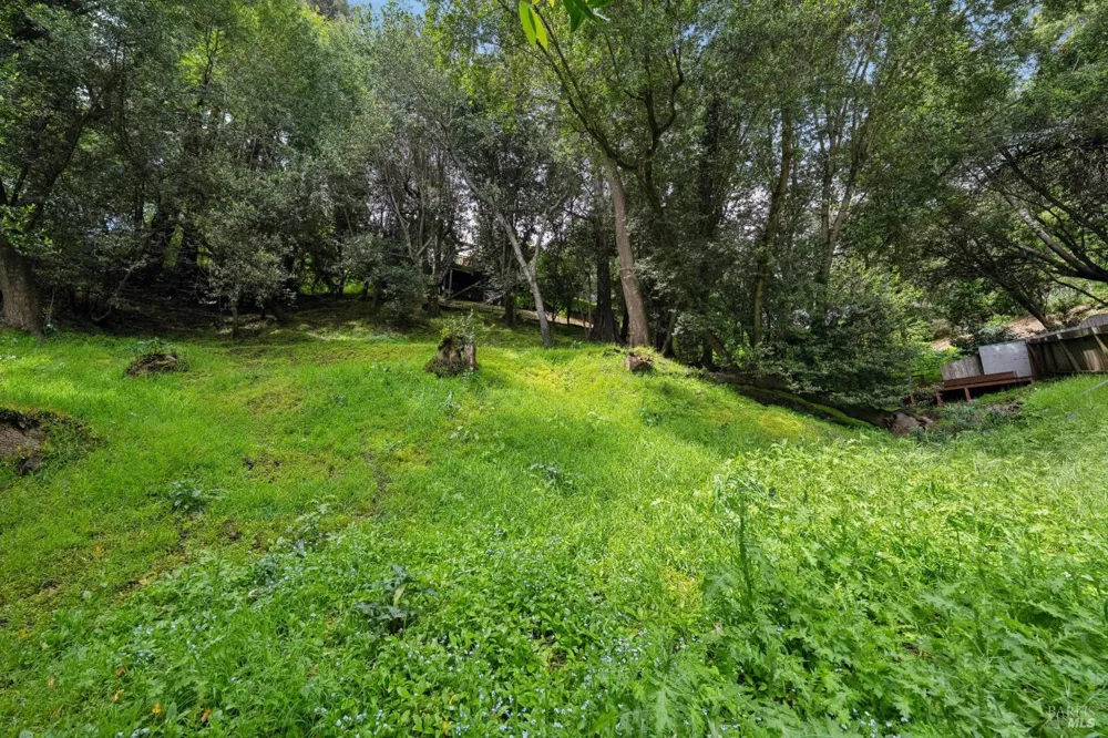 29 Lower Alcatraz Place Mill Valley, CA 94941
