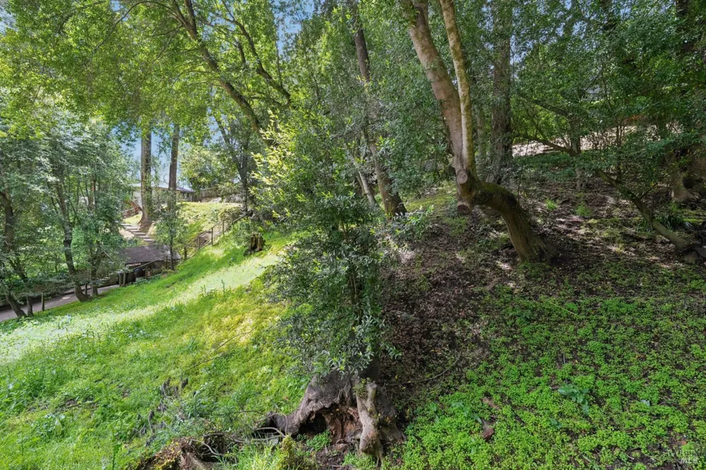 29 Lower Alcatraz Place Mill Valley, CA 94941