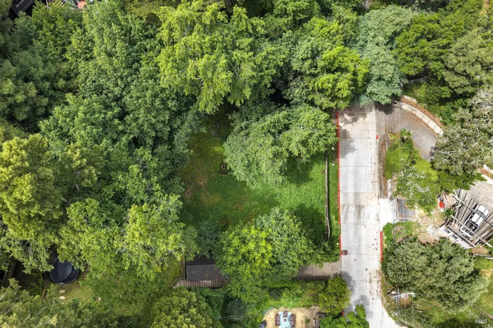 29 Lower Alcatraz Place Mill Valley, CA 94941