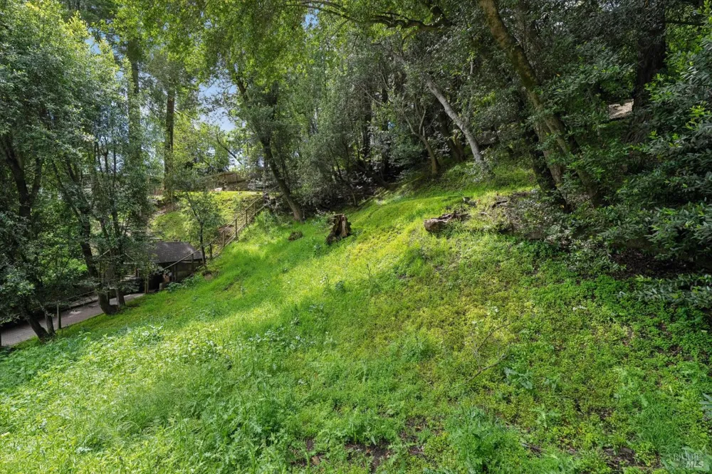 29 Lower Alcatraz Place Mill Valley, CA 94941