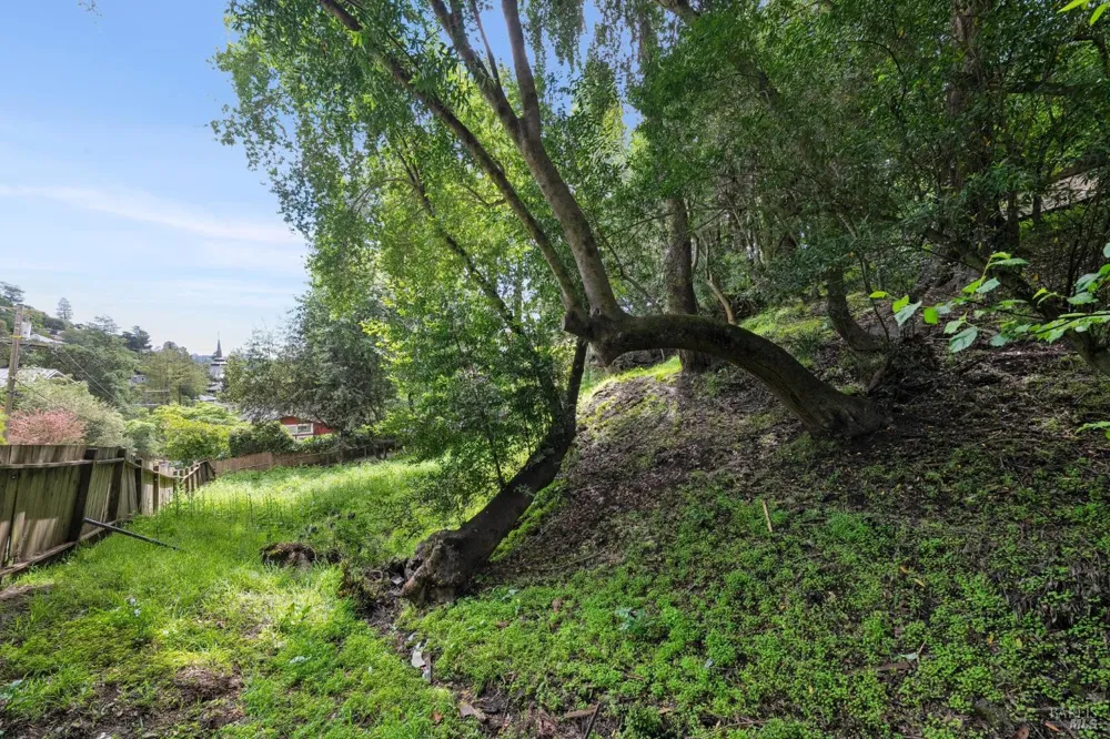29 Lower Alcatraz Place Mill Valley, CA 94941