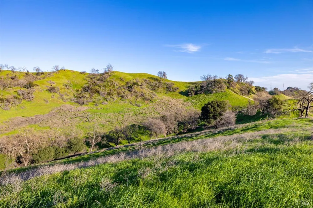 7094 Bucktown Lane Vacaville, CA 95688