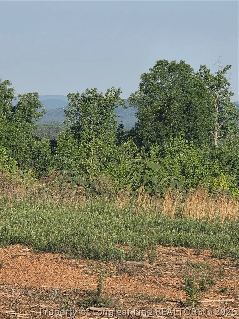 Skeen View Road Asheboro, NC 27205