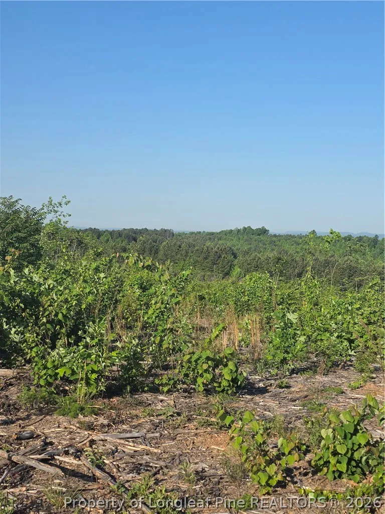 Skeen View Road Asheboro, NC 27205