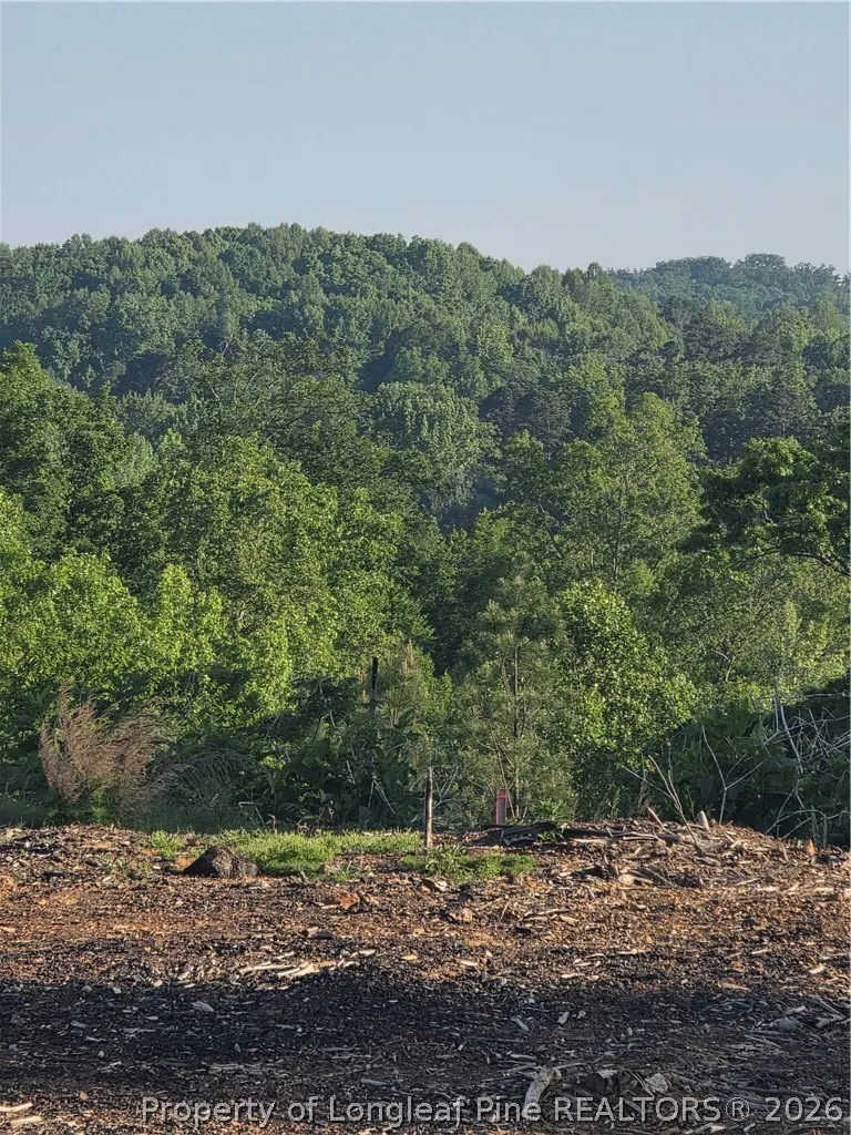 Skeen View Road Asheboro, NC 27205