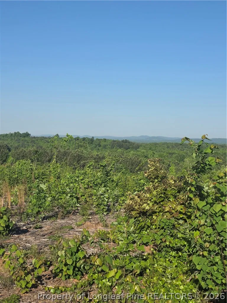 Skeen View Road Asheboro, NC 27205