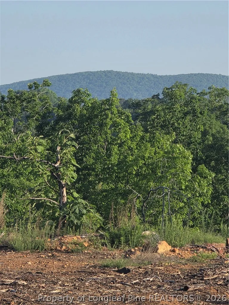 Skeen View Road Asheboro, NC 27205