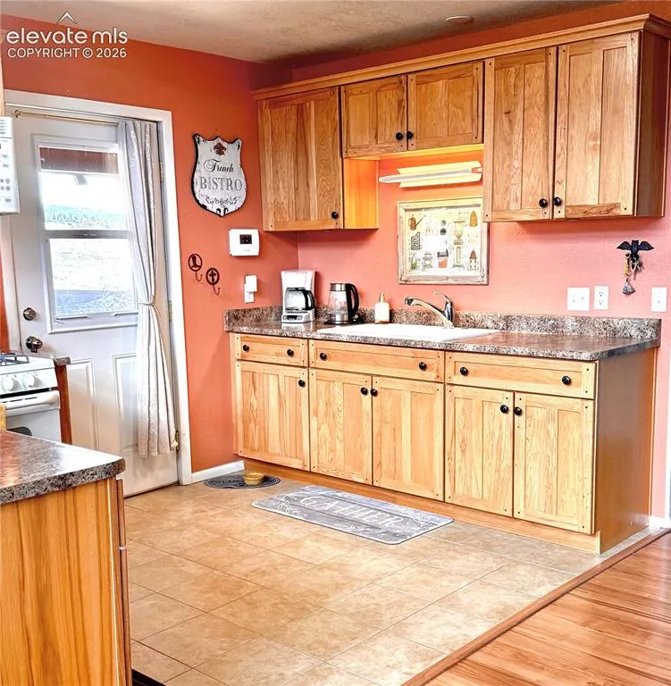 110 Guendel Place Fort Garland, CO 81133