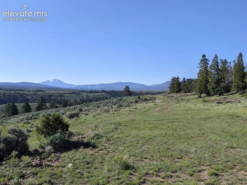 110 Guendel Place Fort Garland, CO 81133