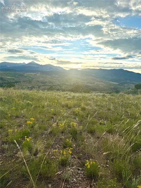 110 Guendel Place Fort Garland, CO 81133