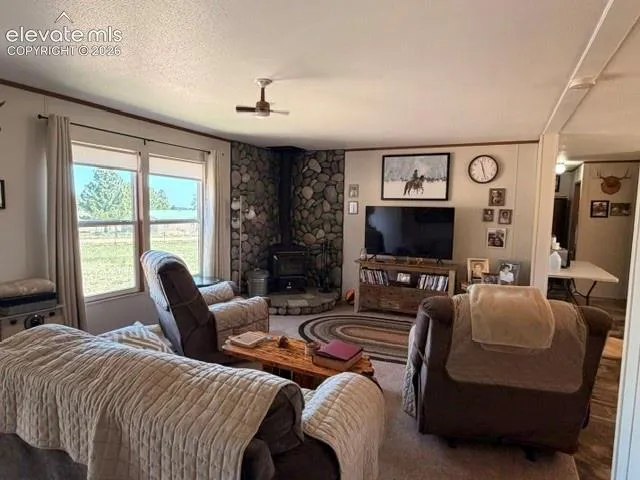 8084 Oak Drive Rye, CO 81069