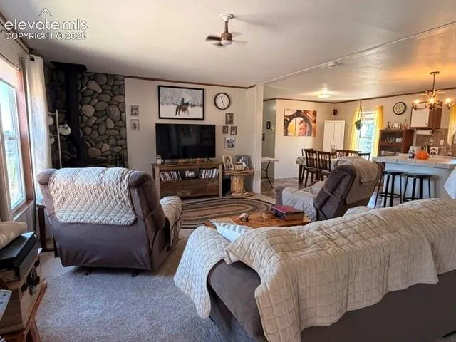 8084 Oak Drive Rye, CO 81069