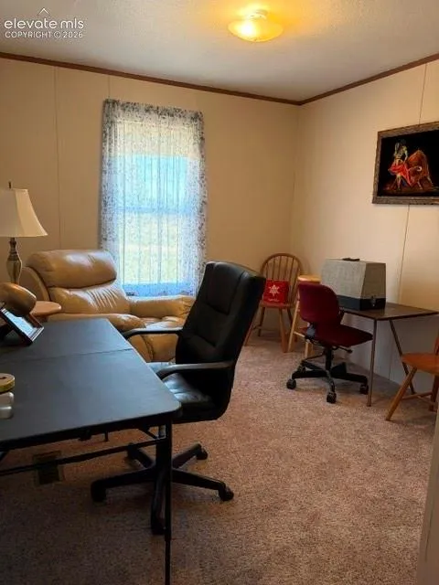 8084 Oak Drive Rye, CO 81069