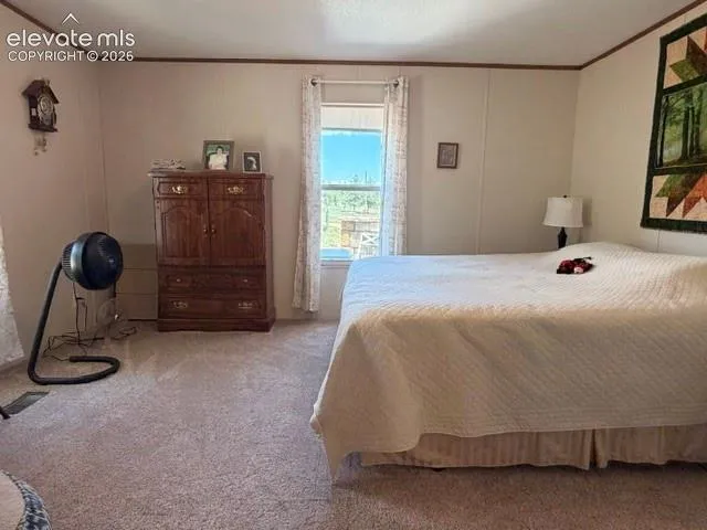 8084 Oak Drive Rye, CO 81069