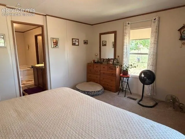 8084 Oak Drive Rye, CO 81069