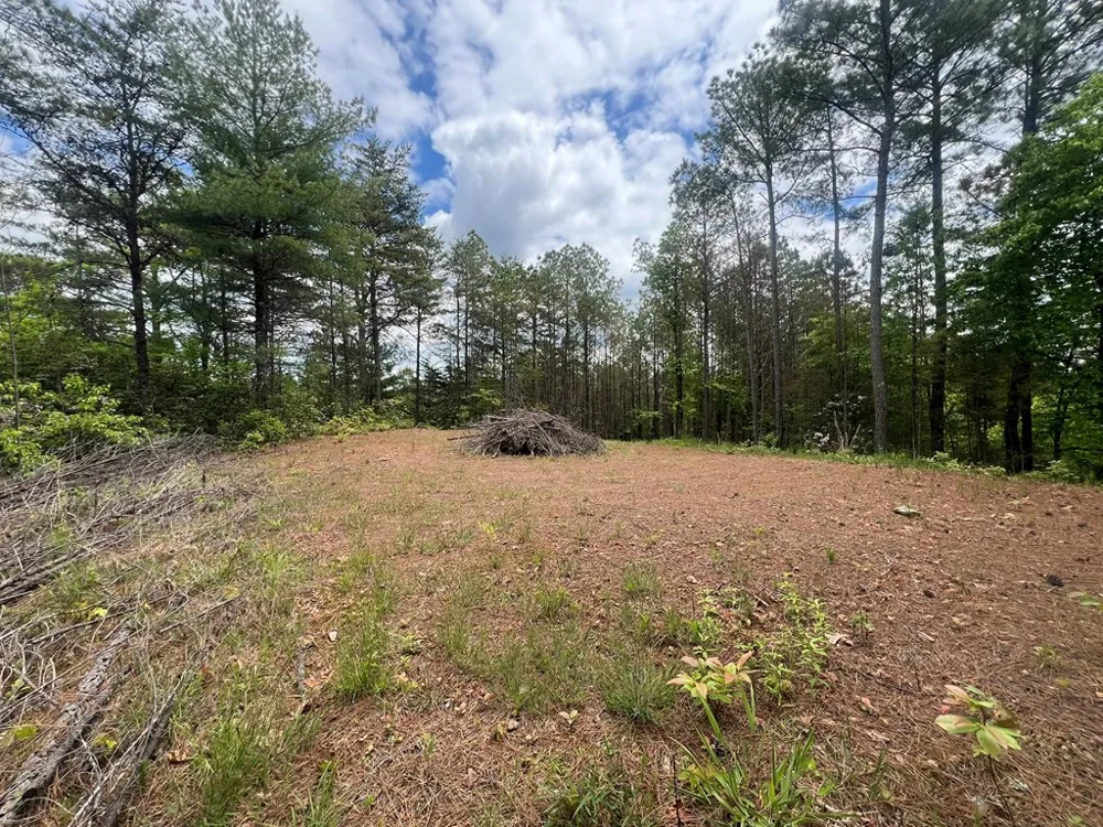 Lot 7 Skyline Drive Turtletown, TN 37391
