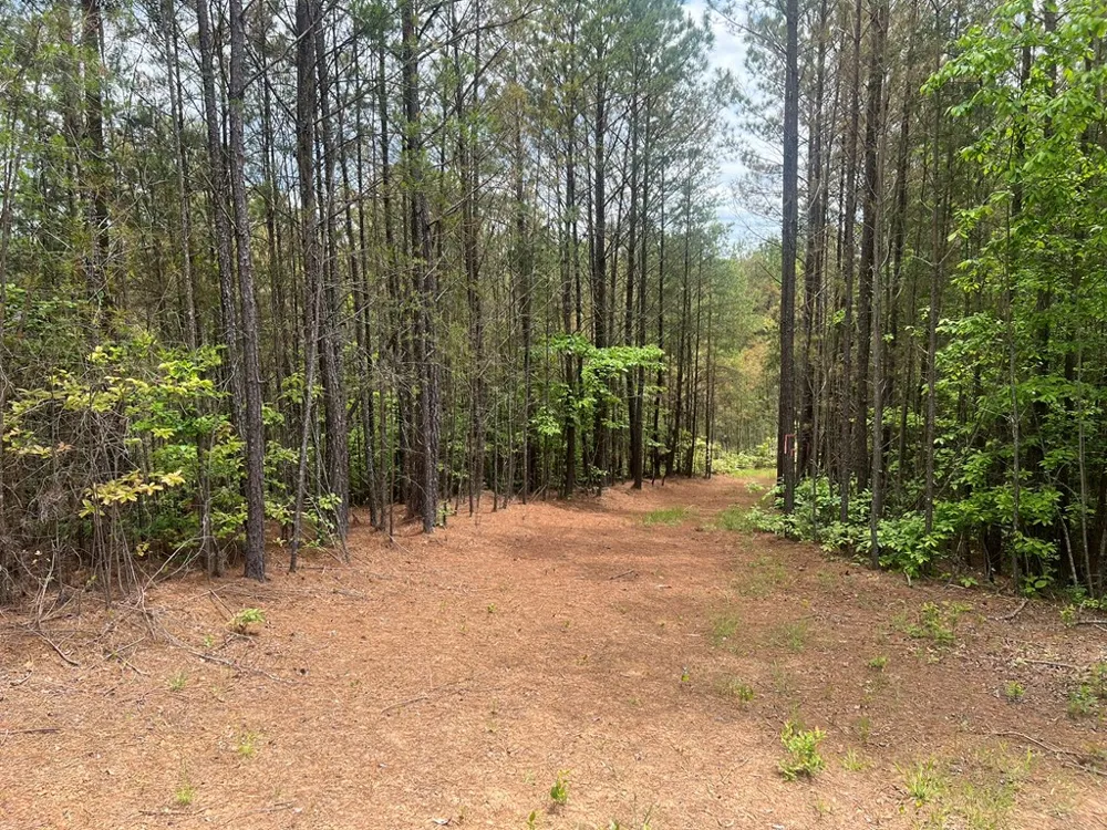 Lot 7 Skyline Drive Turtletown, TN 37391