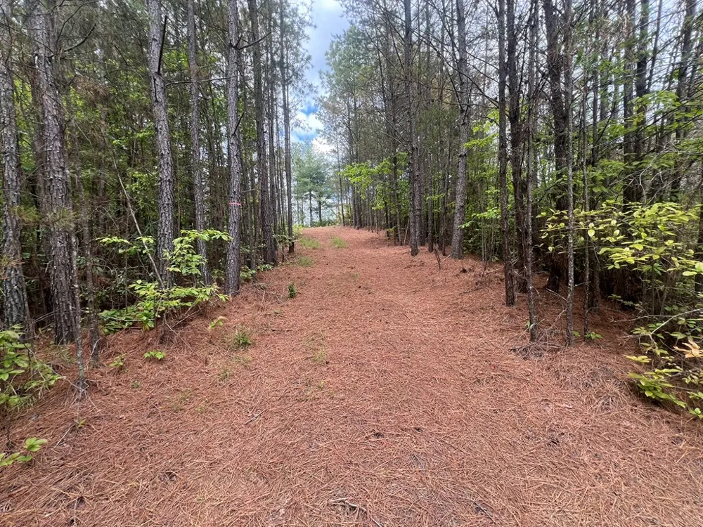 Lot 7 Skyline Drive Turtletown, TN 37391