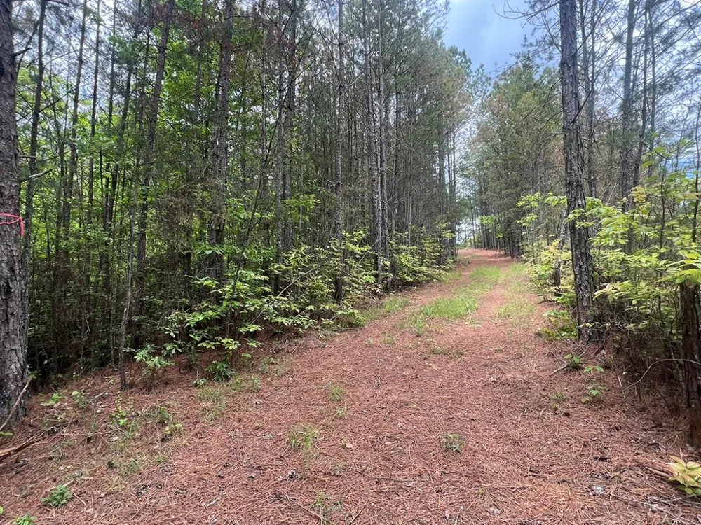 Lot 7 Skyline Drive Turtletown, TN 37391