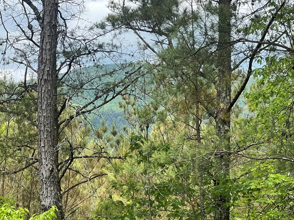 Lot 7 Skyline Drive Turtletown, TN 37391