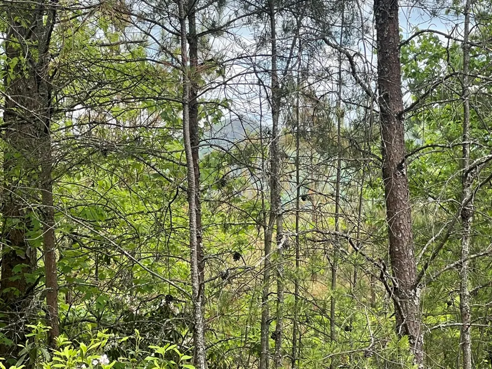Lot 7 Skyline Drive Turtletown, TN 37391